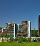 VADİ İSTANBUL